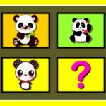 Memória do Bebê Panda