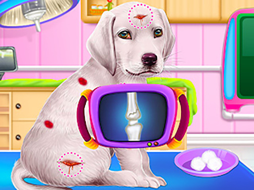 Salão de Creche para Filhotes de Labrador